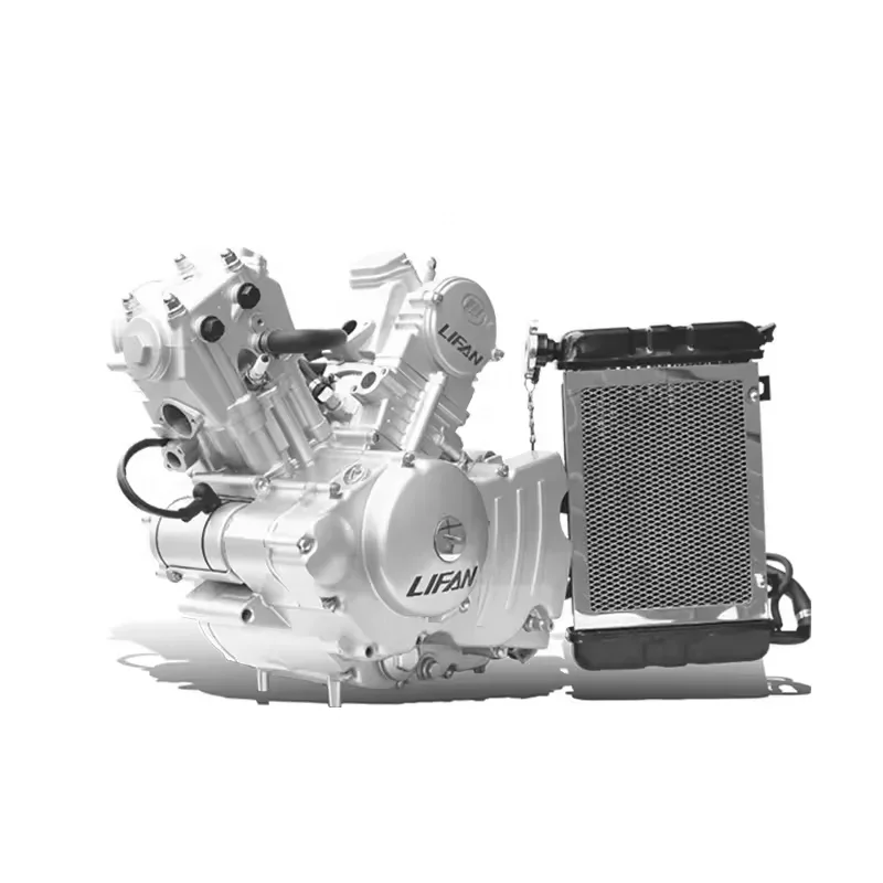 

EDR Lifan 200cc Motorcycle Engine Skygo Motorcycle Engine