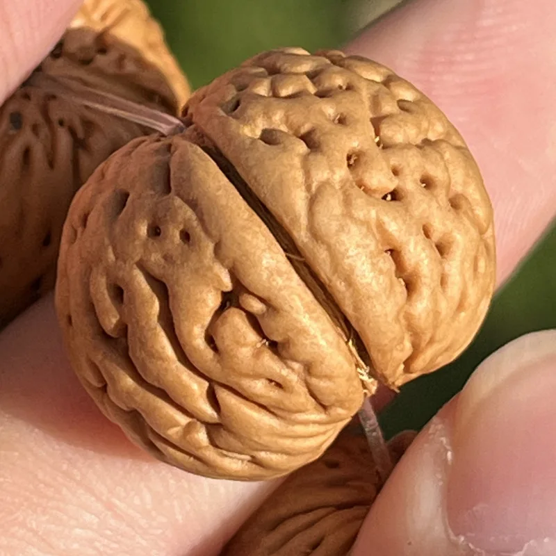 أصيلة البرية الطبيعية قصيرة الجذع الدماغ الحبوب البقان المغلفة الصغيرة الثقافية اللعب بوذا الخرز الخوخ الأساسية سوار #2