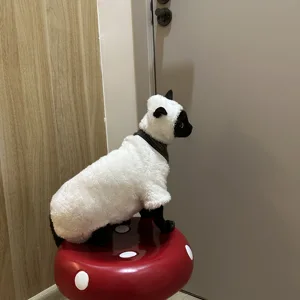 Katzenkleidung ohne Herbst und Winter verdickte heiße Eiswolle aus vier Beinen Sphinx Devon Katze Doppellammwolle Wolle Baumwolle 12 Hauptverkleidungskatze Katze Schafe - №6