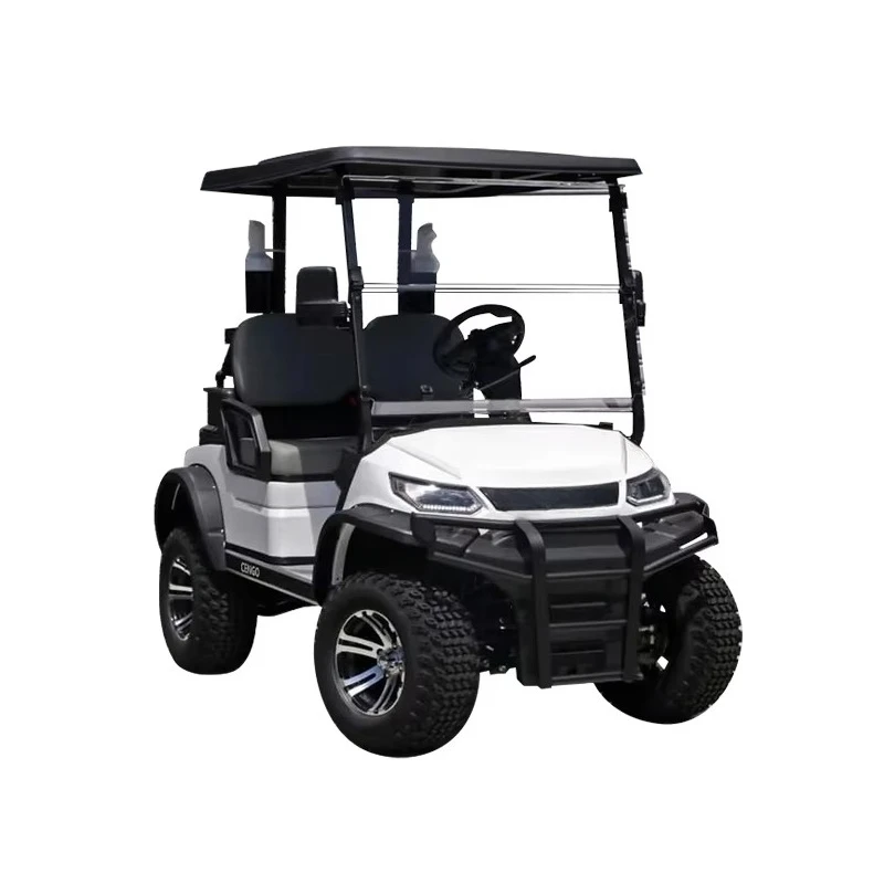 With DOT EEC CE Off-road 2 4 6 Seater Electric Lithium Battery Golf Cart Hunting Golf Cart