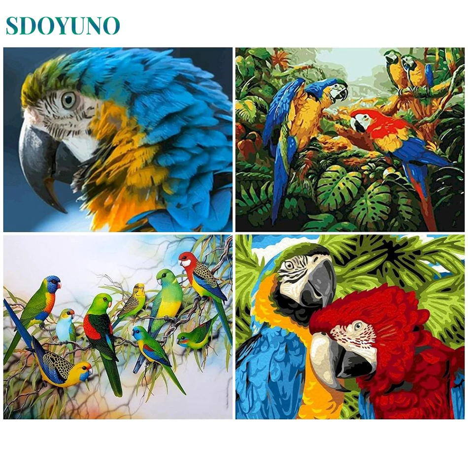 

SDOYUNO Oil DIY Painting By Numbers Bird Picture Of Coloring By Numbers On Canvas Acrylic Paint Wall Adults For Living Room Deco