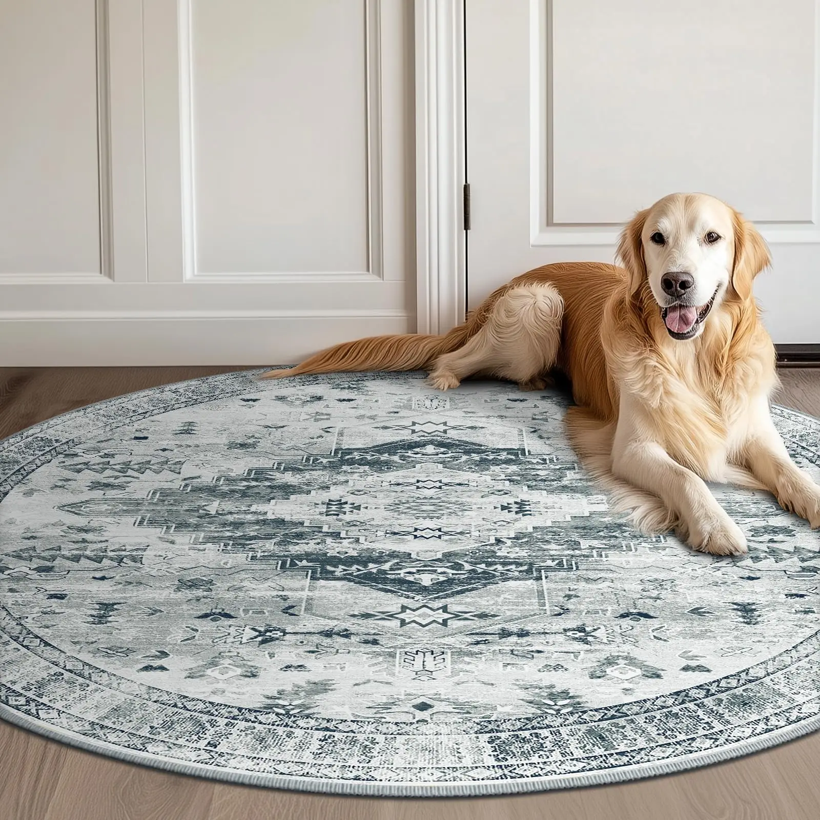

Area Rug for Living Room Washable Rugs No Pile Carpet for Entryway Bedroom Dinning Room Playroom Vintage Boho Carpet