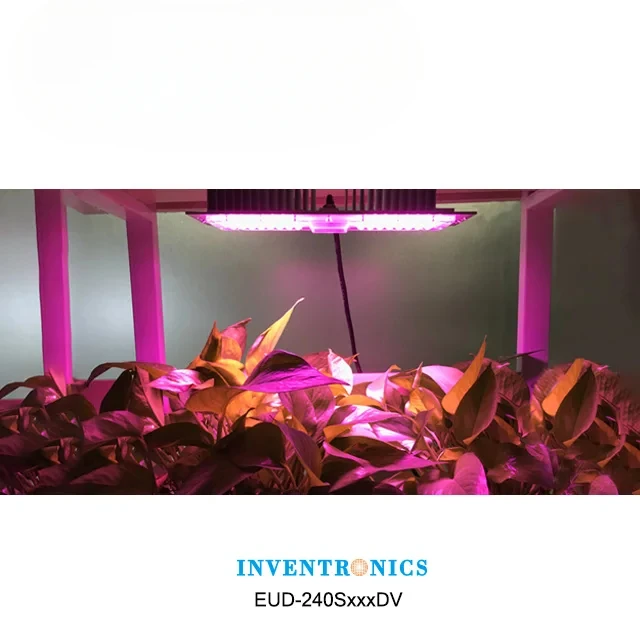 Inventronics EUD Series 240W قابل للبرمجة 0-10V IP67 Led Driver