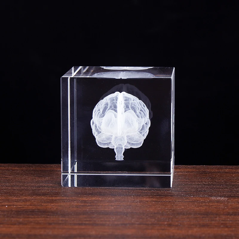 6cm 3D Cerebrum Crystal Cube Model figurine di cervello incise al Laser Paperweight Office Home Decoration Crystal Craft Gifts