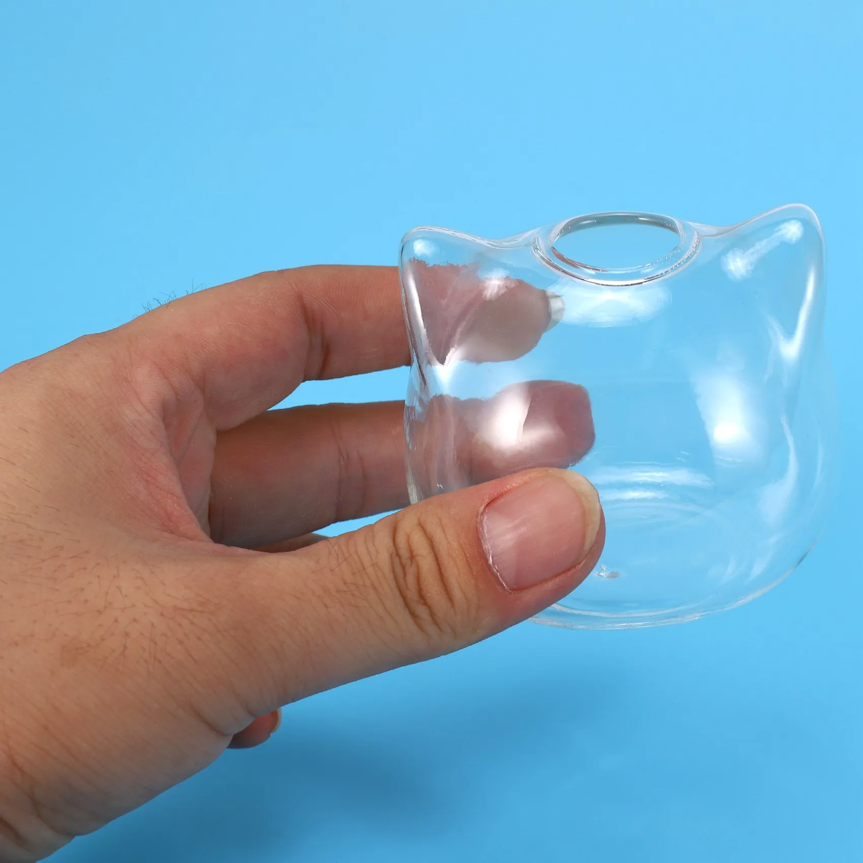 Vaso de vidro em forma de gato, planta hidropônica, vaso de flores, terrário, recipiente, decoração, arte, presente hy