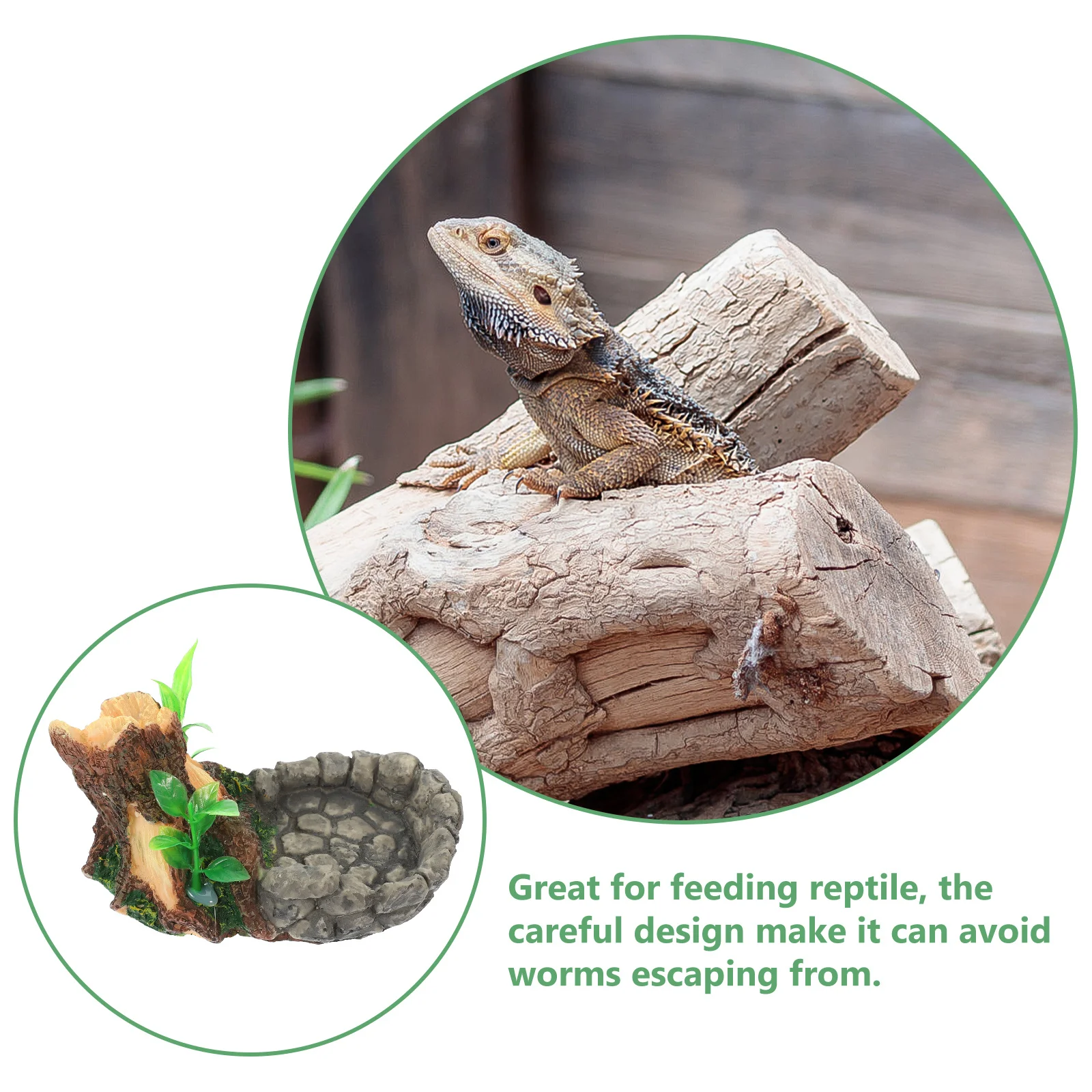 

Terrarium Food Basin Rocks Style Reptile Feeder Resin Craft Durable Smooth Surface Escape Proof Pet Supply Reptile Water Dish