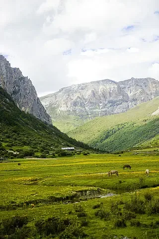 

Электронный регулятор скорости T-HOBBYT-Motor AT115A 14S OPTO ESC для самолетов VTOL и самолетов с фиксированным крылом