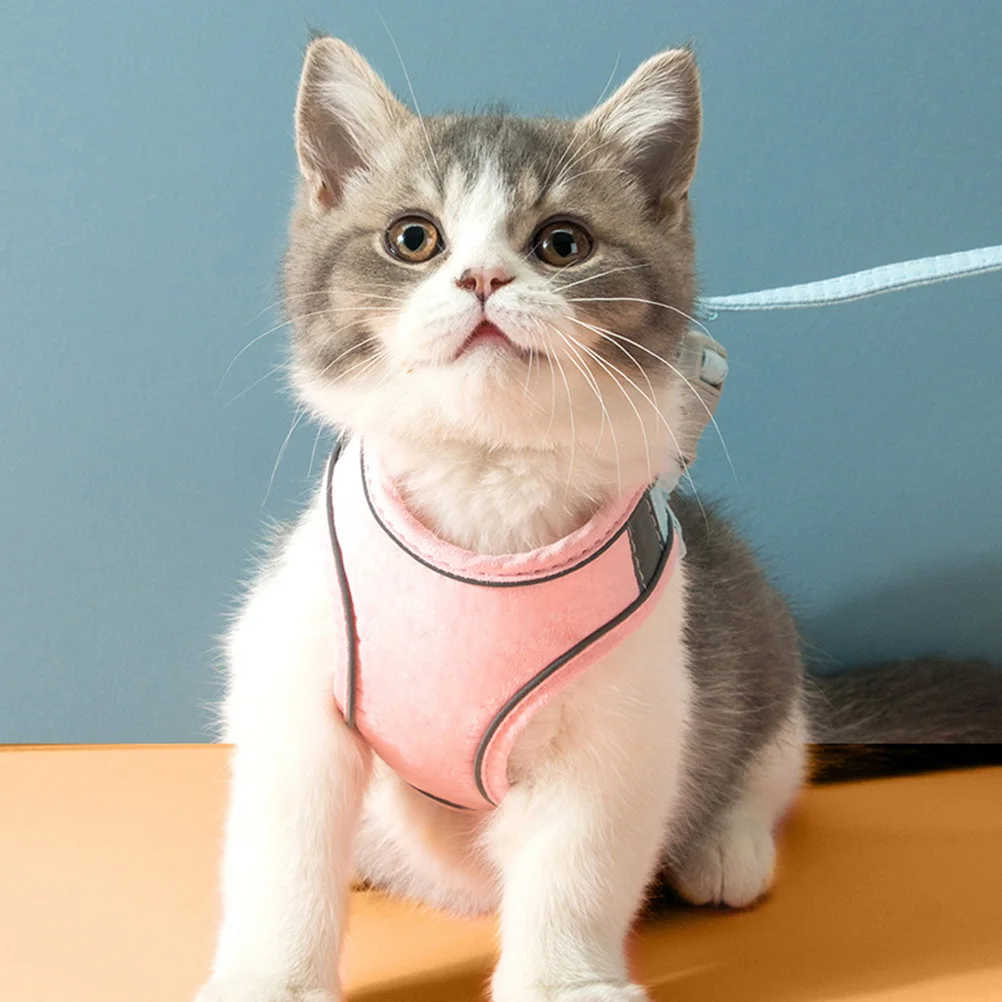 

Tape Leash Cat Pet Traction Strap Walking Pulling Rope Fabric Adjustable Size Long Control Comfortably