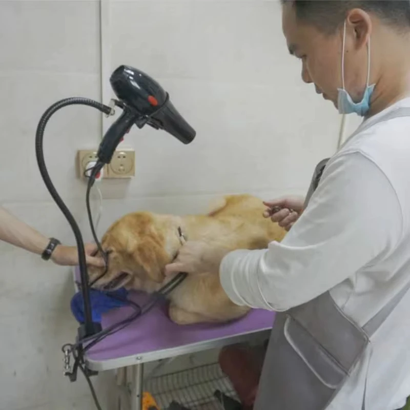 Thumbnail 3 - #31 Pet Hair Dryers List of Top Picks