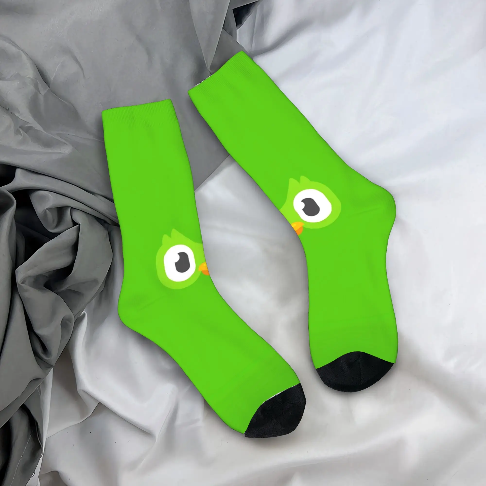 Duolingos Owl Duo S… - image