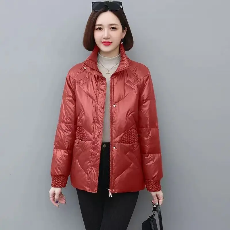 Nueva chaqueta de plumón para mujer de otoño e invierno, chaqueta holgada con empalme a prueba de viento y cuello levantado