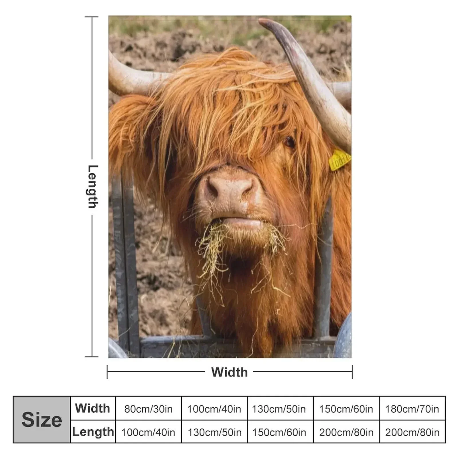 Cute hungry ginger Scottish Highland cow Throw Blanket sofa bed funny gift Blankets