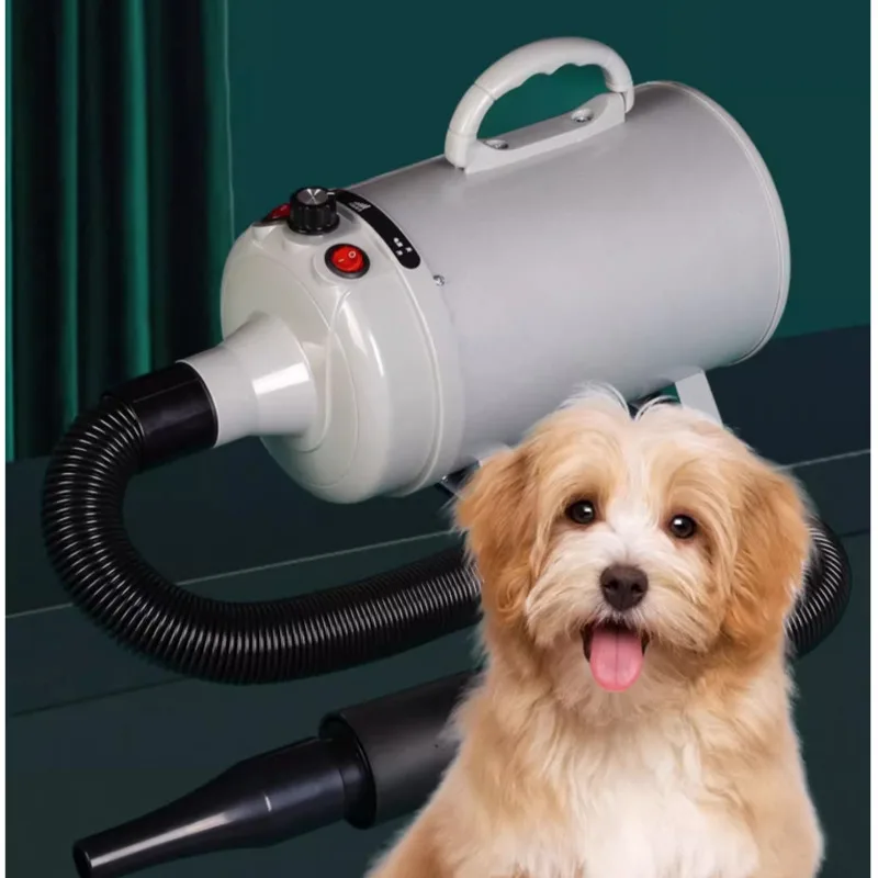 High-Power Dog Hair Dryer,Home Silent Blow Driver,Multiple Gear Adjustment, Drying Machine, Telescopic Hose, Pet Grooming, 2200W