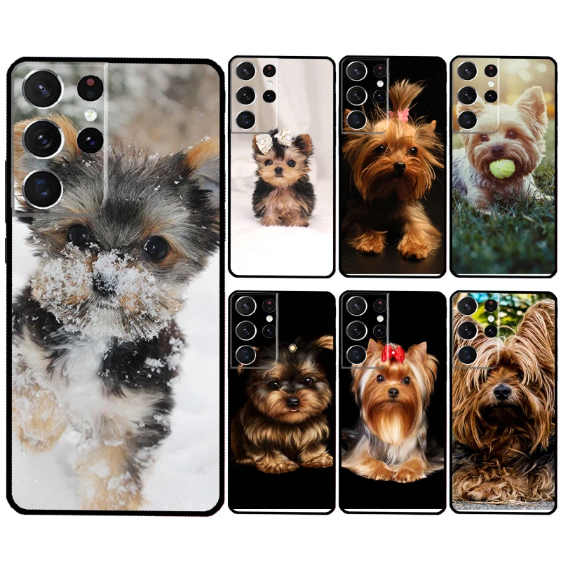 Yorkshire Terrier Dog Case For Samsung Galaxy S24 S23 Ultra S22 Plus S20 S21 FE Note 20 10 S8 S9 S10 Plus Cover