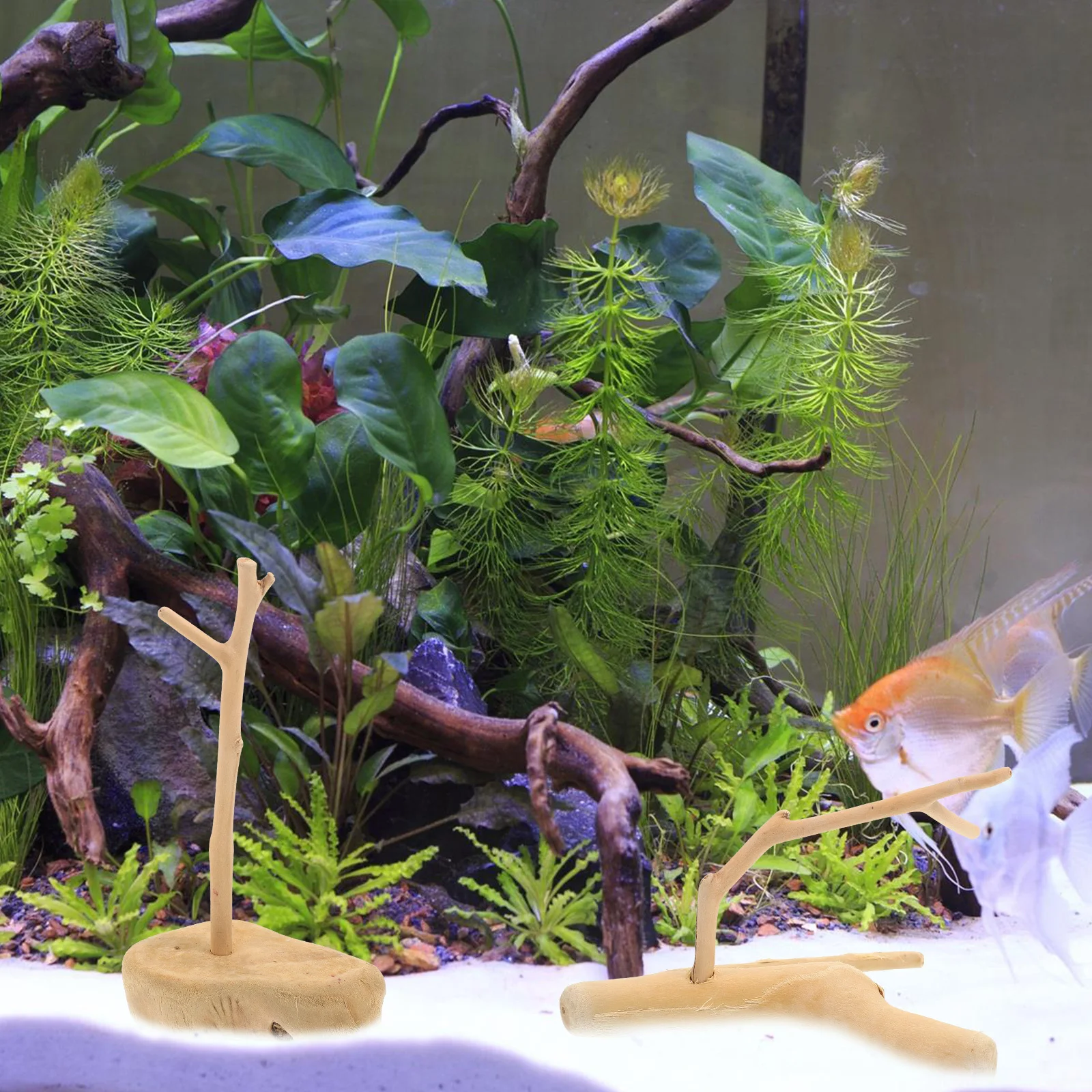 

2Pcs Aquarium Landscaping Driftwood Decor Natural Fish Tank Adornment Quality Long-Lasting Decoration for Tank Dining Table