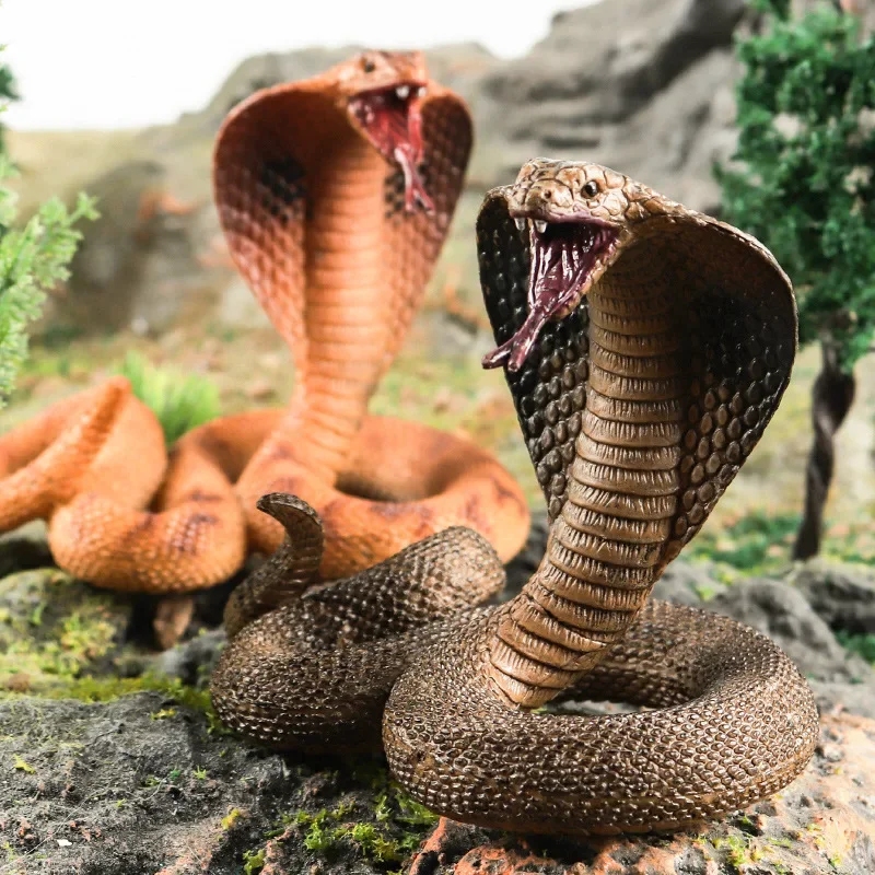 

Wild Crawling Animal Arthropod Snake Trick Toy Cobra Rattlesnake Python Simulated Animal Model figurine Action Figures Kid Toys