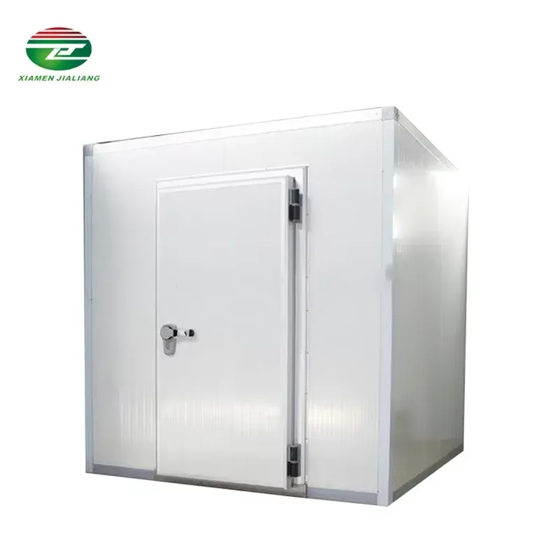 Walk in Freezer Cold Storage Room for Meat Fish Vegetable Fruit