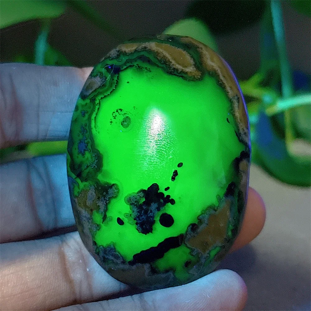 

Fire Agate Palm Crystal Natural Stone Quartz Stone Minerals Home Decoration Reiki Craft Gifts Energy Healing Spiritual Luck Love