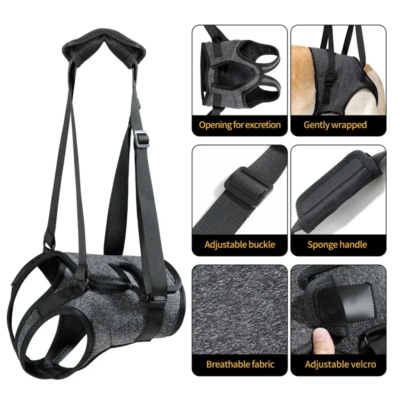 Adjustable Dog Lift Harness for Large Dogs Soft Padded Pet Rear Leg Support for Old Disabled Joint Injuries Dog Back Leg Hold