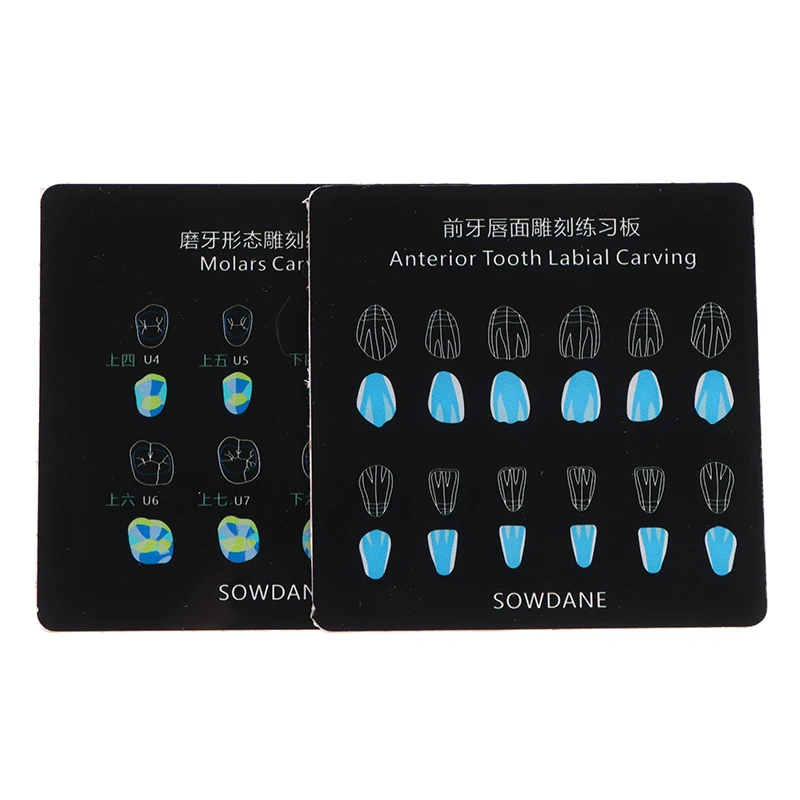 3Sizes Dental Composite Resin Filling Practise Template Teeth Morphology Board Anatomical Model Study Board