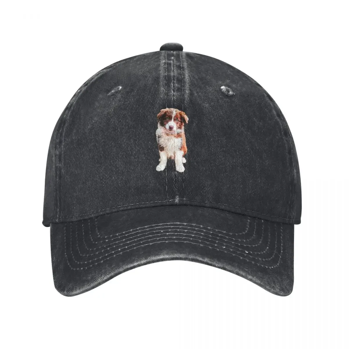 Gorra de béisbol con diseño de cachorro Border Collie, color chocolate, para la playa, para el invierno, estilo hip hop, para hombre y mujer