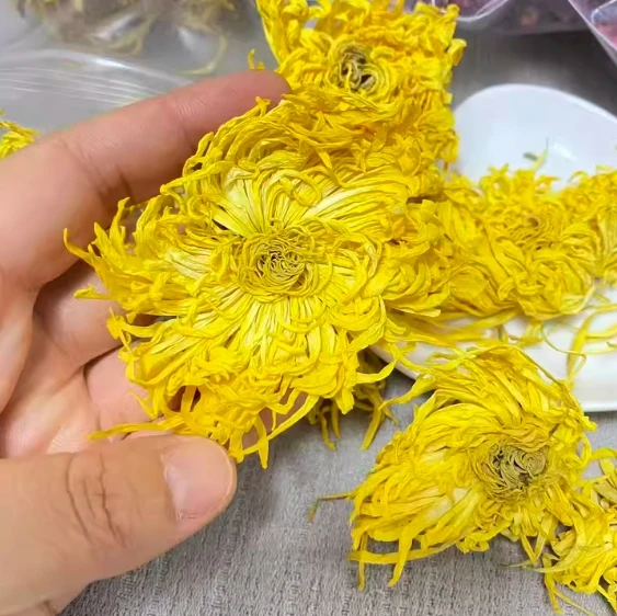 5pcs Natural Plant Dried yellow Chrysanthemum Flowers DIY Arrangement Home party decoration