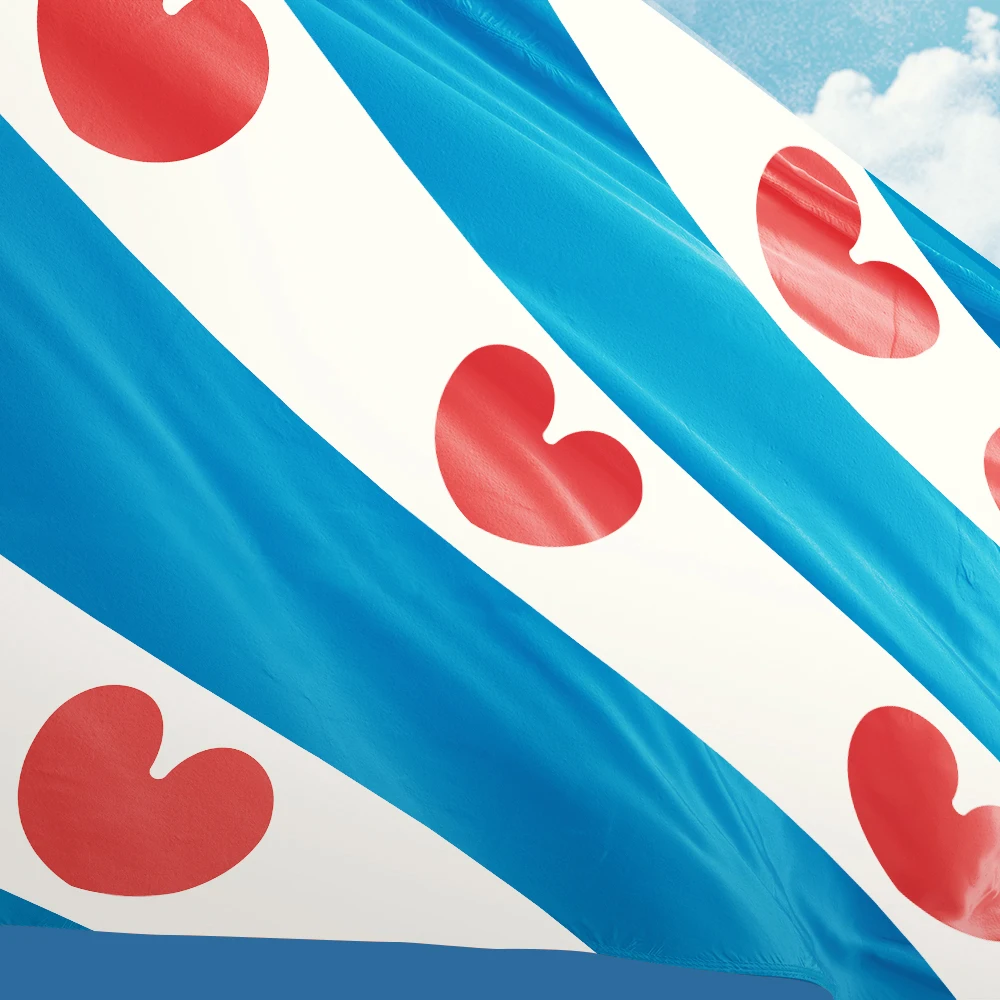 Netherlands Friesland Province Flag 3ft x 5ft Polyester Banner Flying 90* 150cm Double Penetration Custom Outdoor Indoor