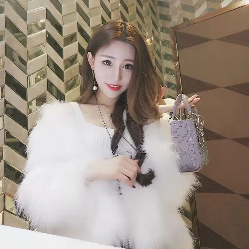 Autumn and Winter New Imitation Fox Fur Coat Women's Short Fashion Slim Foreign Style Young Wool Top Wholesale