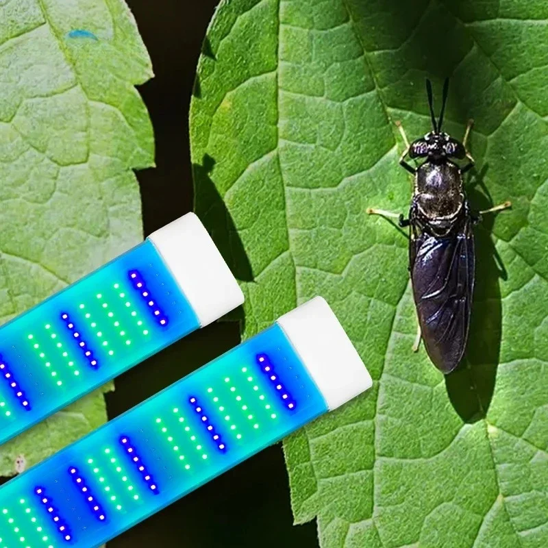 IP66 Class Light Emitting Diode Breeding Reptile Lamp Black Soldier Flying Tank Insect Breeding Light