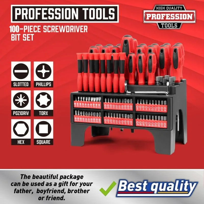 

100-Piece Magnetic Screwdriver Set with Plastic Racking, Precision Screwdrivers, Nut Drivers, Ratchet Handles, Sockets & More -