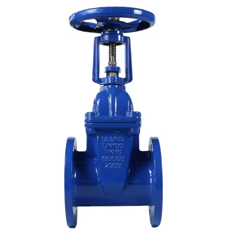 2026BS5163 API609 DN200 PN16 Cast Ductile Iron Elastic Valve Seat sealed Rising Stem Flange Gate Valve