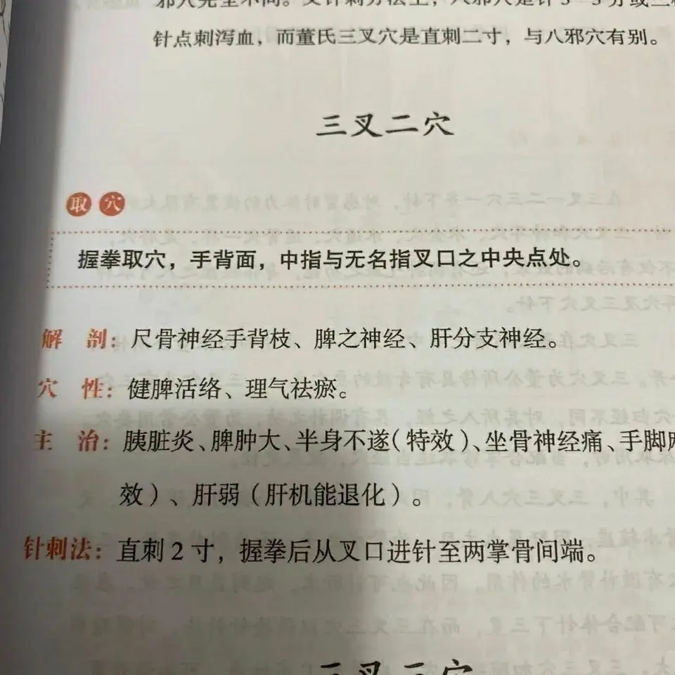 Chinese Acupuncture Introductory Book Illustrated Dong Style Chinese TCM Books Libros Traditional Chinese Medicine (TCM)