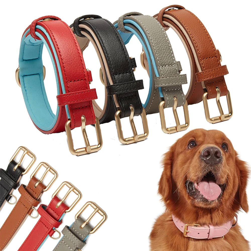 가죽 개 목걸이, 크고 작은 개, 부드러운 패딩 칼라, 조절 가능한 애완 동물 제품, 개 액세서리, 닥스훈트 핏불 불독 칼라