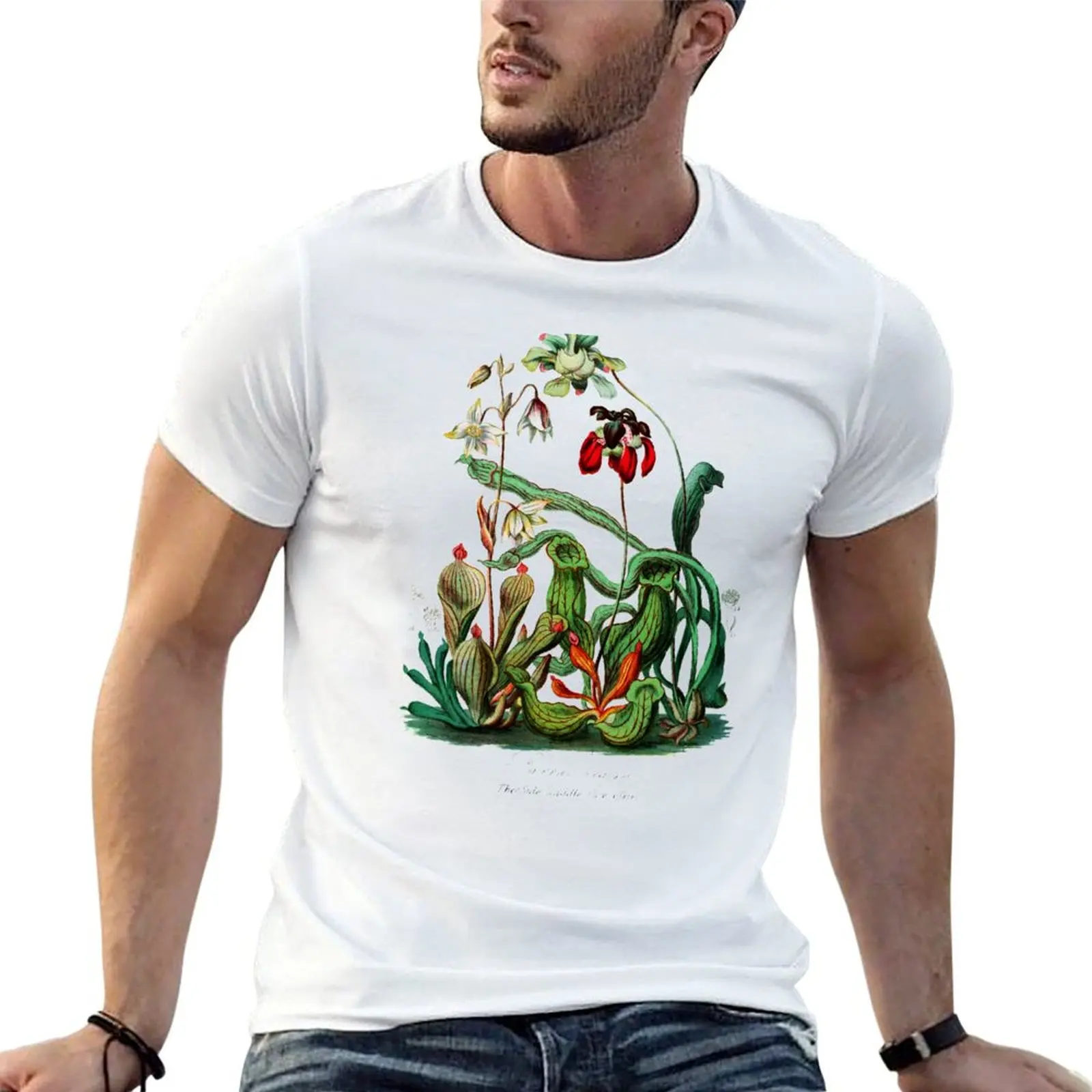 Camiseta botánica vintage de plantas carnívoras Sarracenia, camisetas de algodón 100%, camiseta de algodón de diseñador, camiseta para hombre