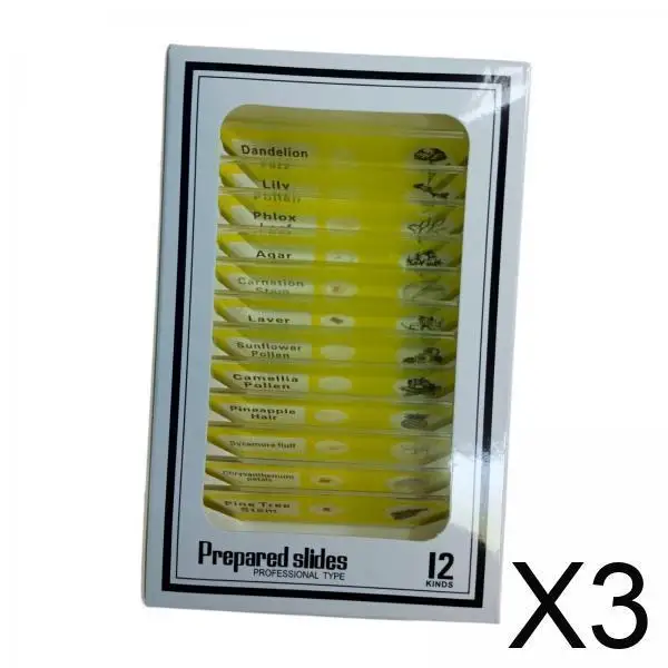 Kits científicos para crianças, lâminas de microbiologia preparadas, desenvolvimento de habilidades cognitivas, sala de aula, casa, aprendizagem precoce