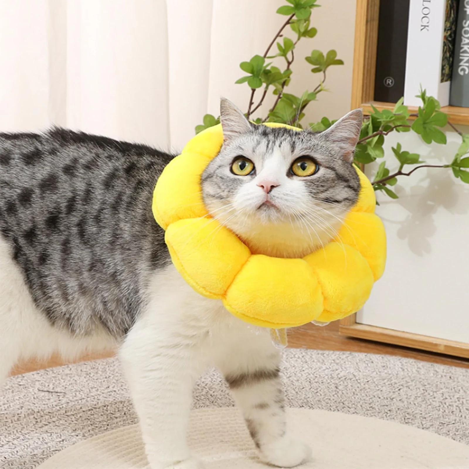 

Elizabeth Ring Cat Sterilization Collar Anti-Licking British Short Cat Neck Ring Collar Headgear Dog Cat Universal Pet Supplies