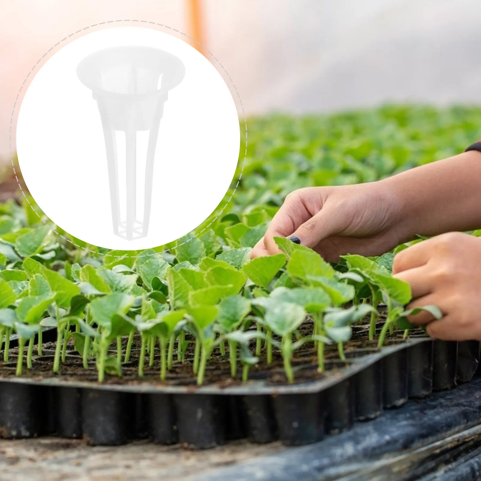 50Pcs Hydroponic Baskets Plastic Soilless Planting Basket Hollow Design for Root Aeration Growth Support Garden Supplies view 2