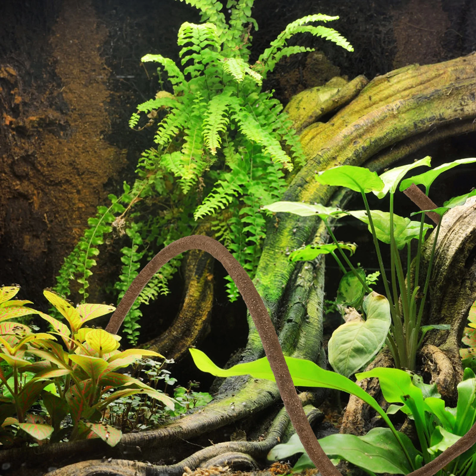 

Reptile Tank Fake Vine Decoration Durable Safe Material Create Natural Habitat Lizards Geckos Snakes Reptile Tank Decor