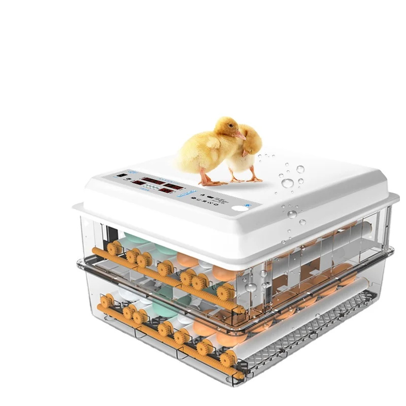 

Incubator 36 Eggs Automatic Egg Incubator Egg Hatching Machine for Sale with Dual Power