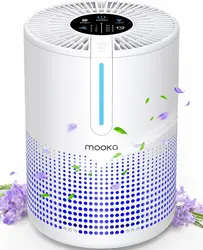 Air Purifiers for Bedroom Home 430 Sq.Ft, H13 HEPA Filter Small Portable Air Purifier for Car RV