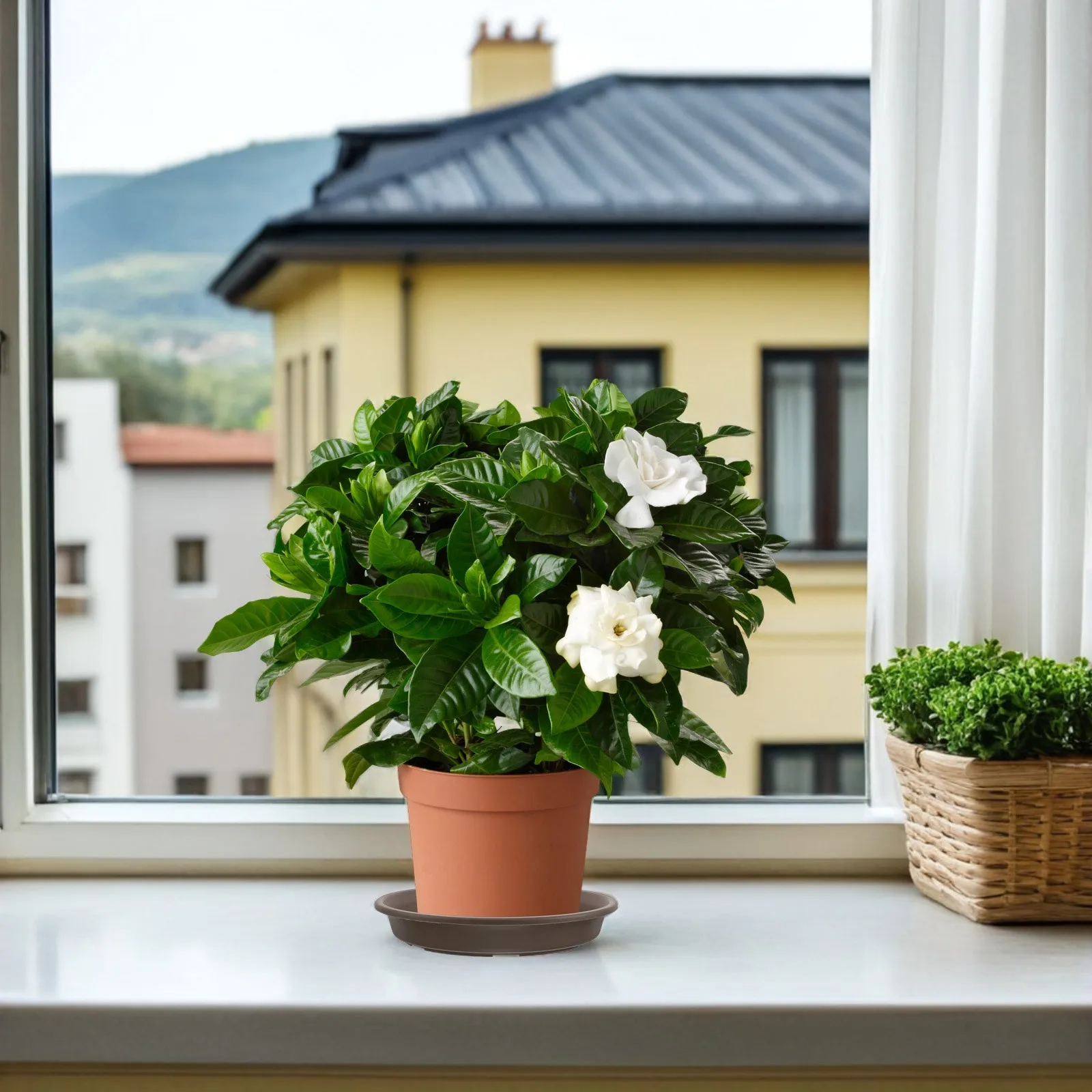 

10Pcs Round Plant Saucers Resin Flowerpot Water Tray Indoor Outdoor Drainage Catcher Pot Saucer Tray Garden Plant Plates