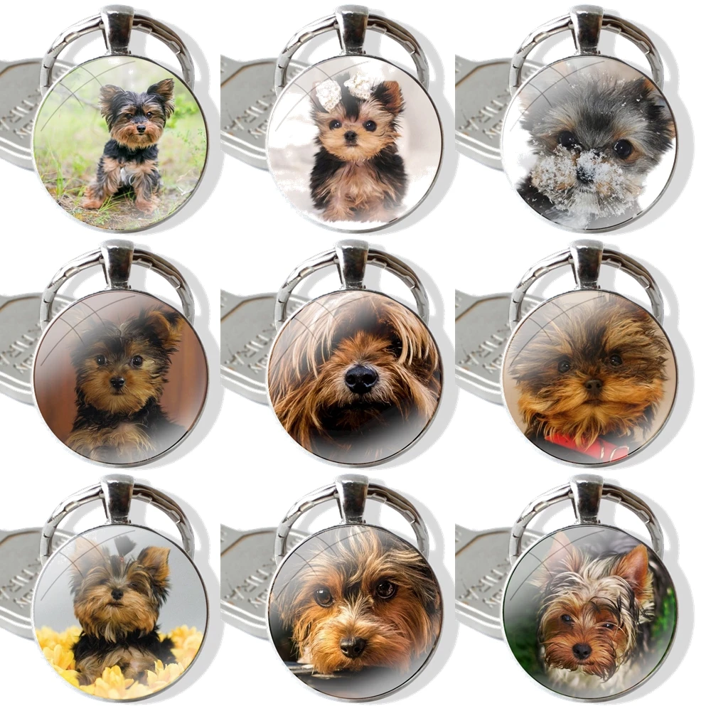 Keychain Glass Cabochon Metal Pendant Classic Men\'s Women\'s Keyring Yorkshire Terrier Puppy Dogs animal