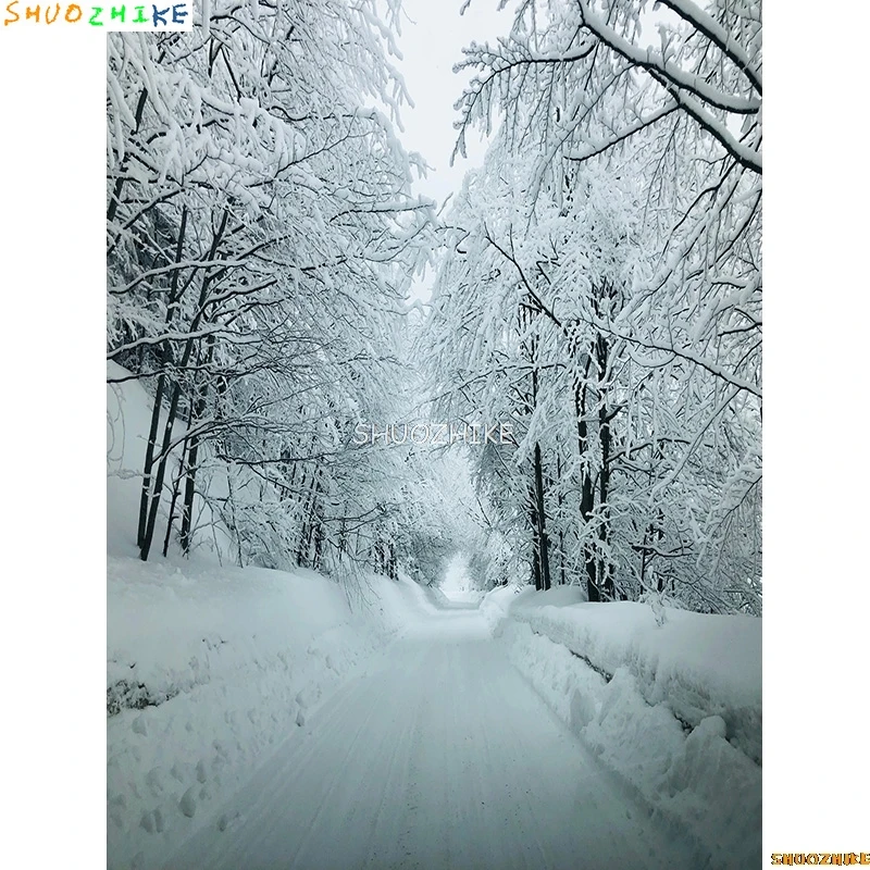 الشتاء الغابات الثلوج الطريق خلفيات للتصوير الفوتوغرافي عدم وضوح المشهد الثلج الطريق شجرة التنوب خلفية الصورة XD-15