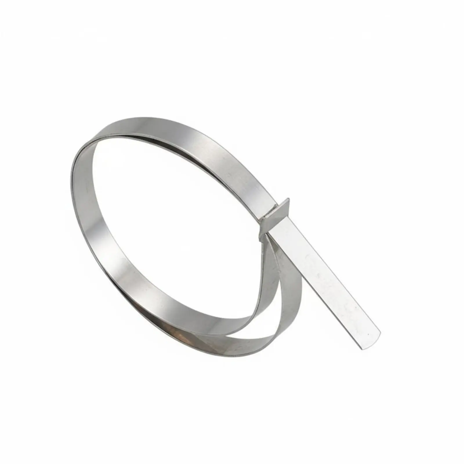 

100 Pieces Stainless Steel Cord Tie Automatic-Locking Metal Zip Tie Automatic-Locking Metal Zip Ties Rust-Resistant