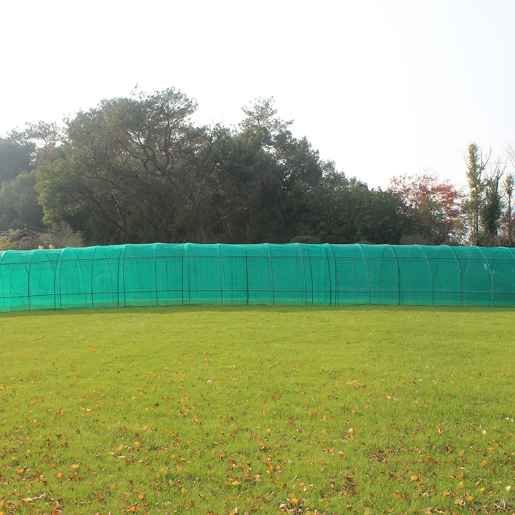 Agricultural Foldable Greenhouse Grow Tent Garden Hydroponics Plant Room Heavy Duty Steel Frame Clear PVC Cover Shed