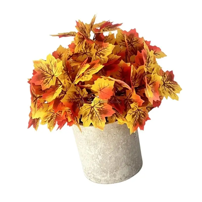 Indoor Fall Plant in Pot for Front Counter Desk Shelf and Home Corner