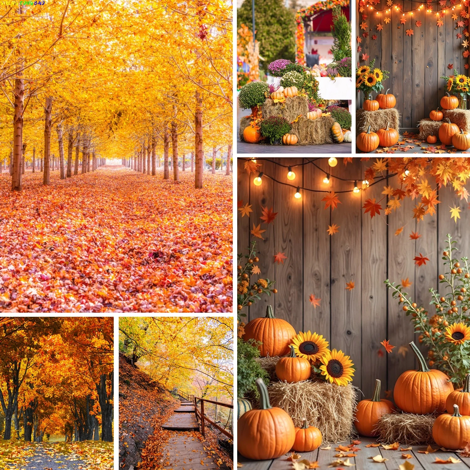 

Autumn Scenery Deciduous Background Maple Forest Leaves Mountain Road Pumpkin Thanksgiving Party Kids Portraits Photo Booth Prop
