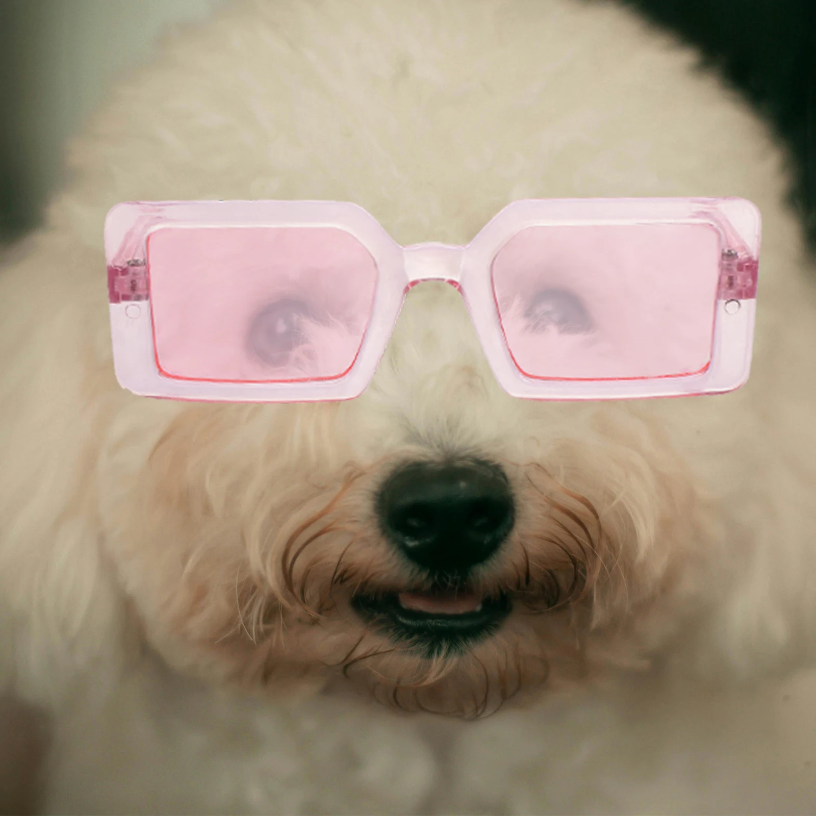 

Dog Transparent Glasses Sunglass for Small Dogs Pet Funny PP Diversified Colors Fashionable Party Photo Props Cool Modeling