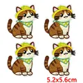 PE17768CT