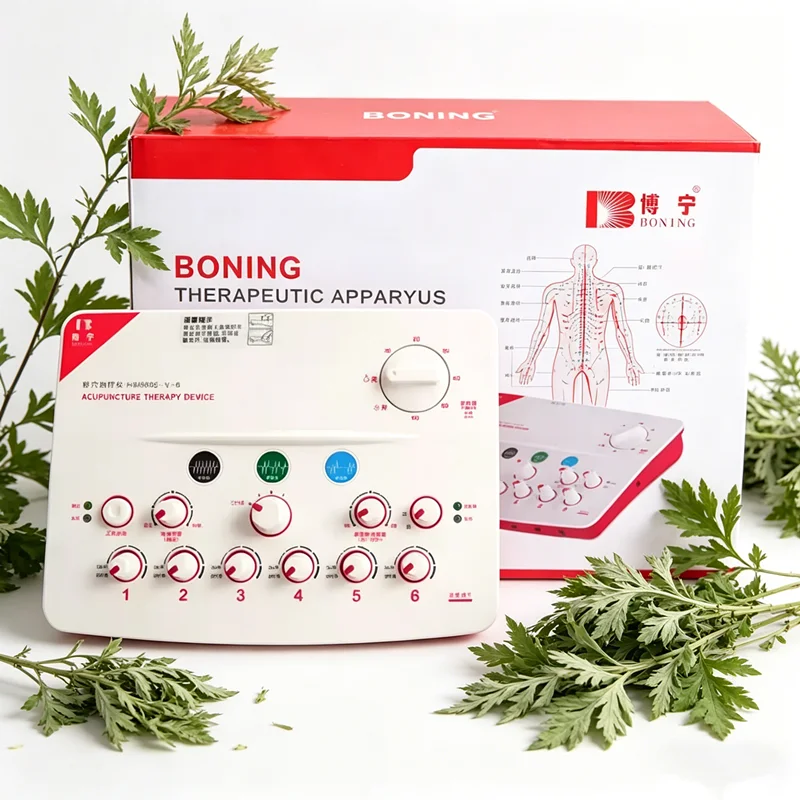 6 Channel TENS Unit Neuromuscular Therapy Machine 3 Waveforms Electric Acupuncture Body Massager 220V & Battery Powered